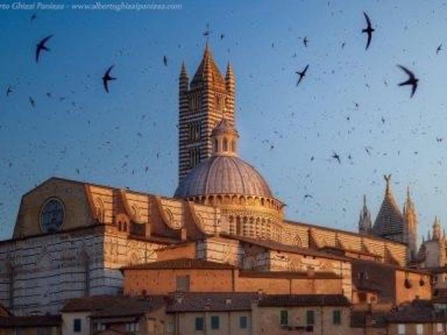 Quadrilocale in vendita, Siena antiporto