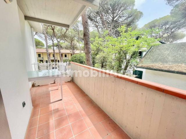 Quadrilocale viale Vittorio Veneto 83, Milano Marittima, Cervia