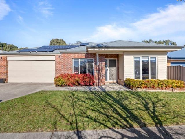 Quality Metricon Family Home with Exceptional Shedding, Solar & Family Living