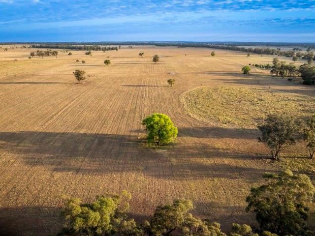 Quality Mixed Farming Property