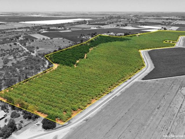 QUALITY ALMOND PROPERTY