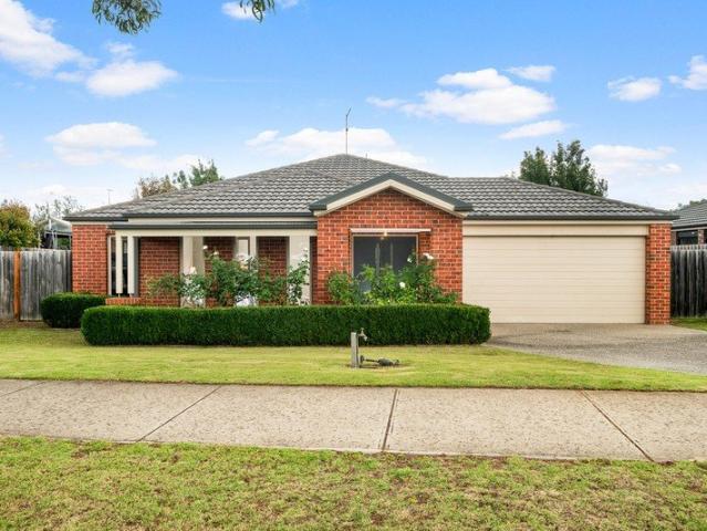 Quality, Comfort & Space All in One 674m2