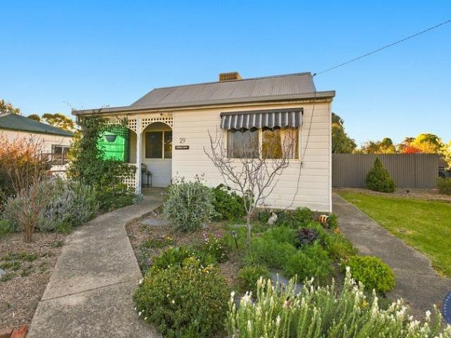 Quality Cottage on a Spacious Block