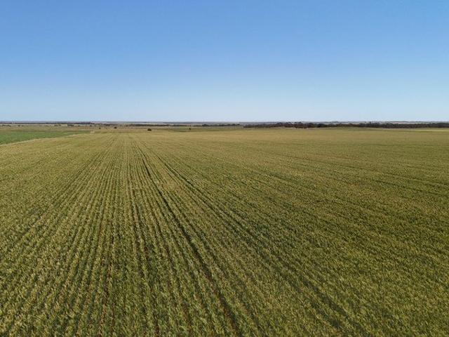 Quality Cropping Country Available For Sale & Lease