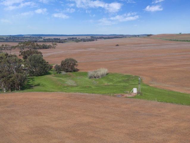 Quality Cropping Land | Expand or Establish