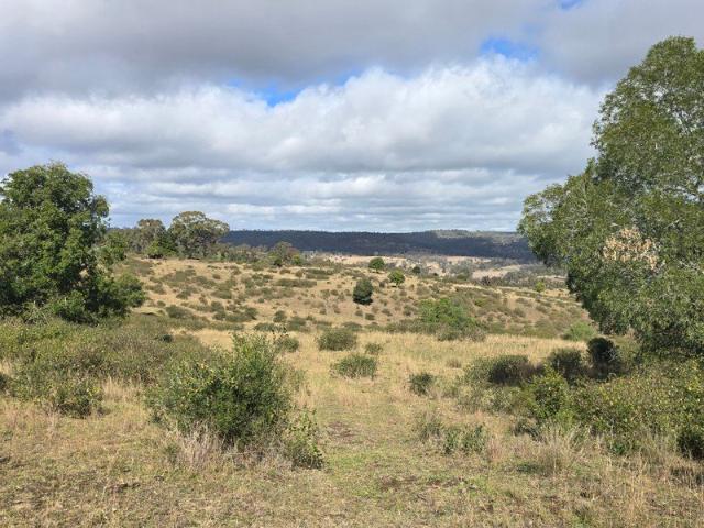 Quality Dirt, Great Views Perfect Rural Lifestyle Opportunity!