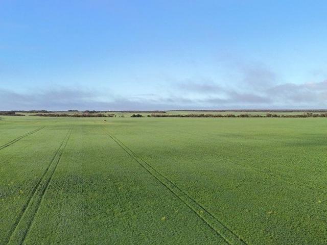 Quality Eyre Peninsula Cropping Opportunity