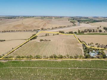 Quality Family Home on 16Ha Vineyard or Blank Canvas Opportunity
