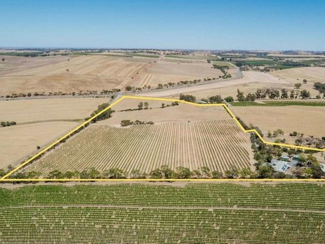 Quality Family Home on 16Ha Vineyard or Blank Canvas Opportunity