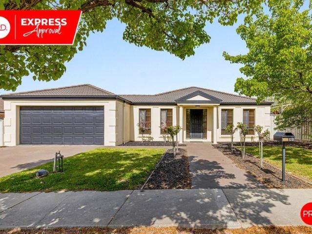 Quality Family Home with Shed & Side Access