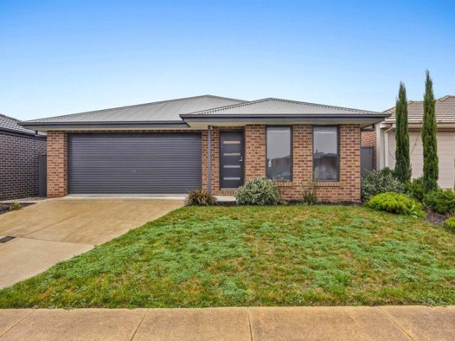 Quality Family Living In Alfredton