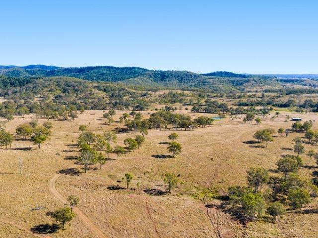 Quality Grazing. A Stones Throw From the Bunya Mountains