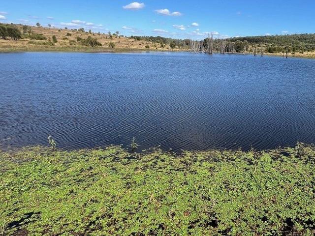 Quality grazing and farming land for cropping and cattle production
