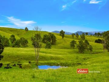 Salisbury, Dungog, Bingleburra