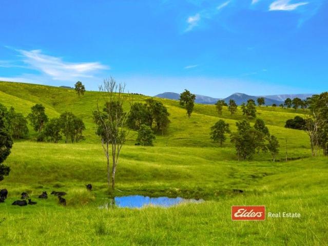 Quality Grazing Acres