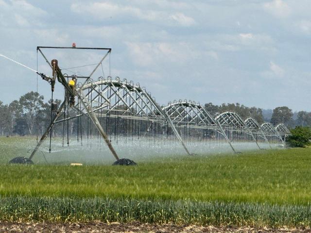 Quality Highly Productive Irrigation Property with Water Security Three Moon, Monto