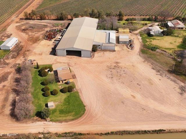 Quality Improvements, drip irrigation infrastructure and fertile soils