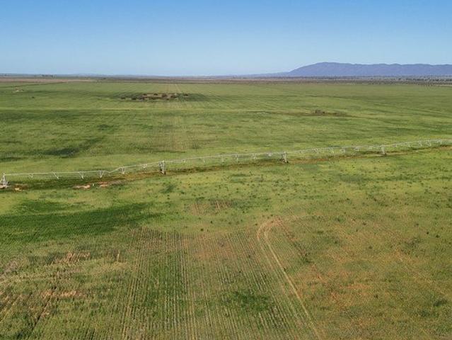 Quality Irrigation Opportunity
