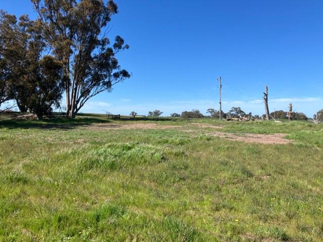 Quality Rural Acreage with Building Potential