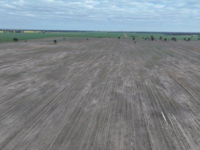 Quality self mulching soils on the Bimbi plains