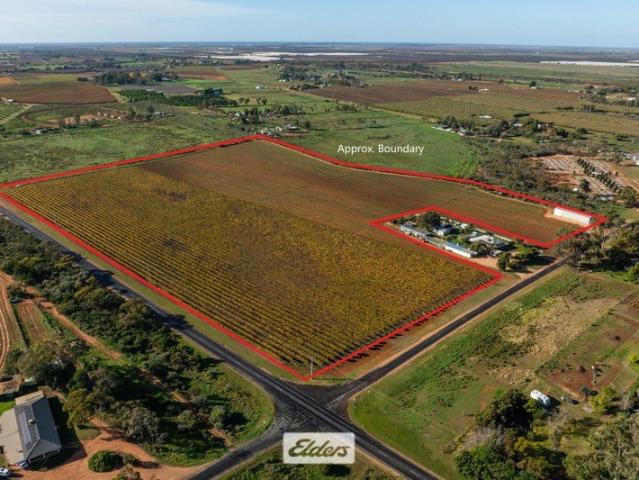 QUALITY SOILS, EXCELLENT INFRASTRUCTURE & CLOSE TO TOWN