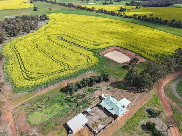 Quality Turnkey Mixed Farming property