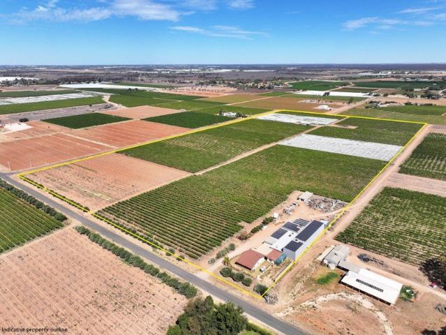 QUALITY TABLE GRAPE PROPERTY ON 2 TITLES