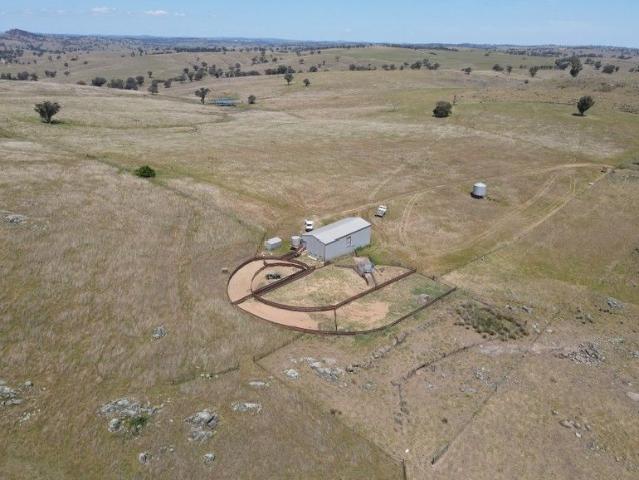 Quality Tablelands Grazing