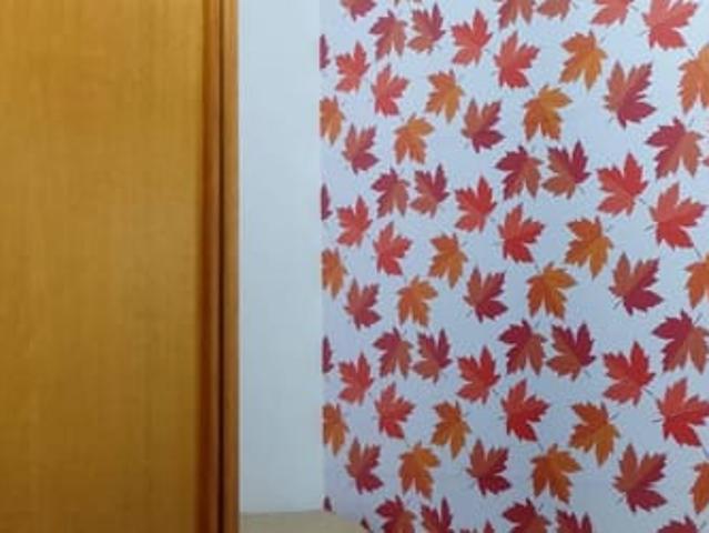 Quarto compartilhado para moças estudantes