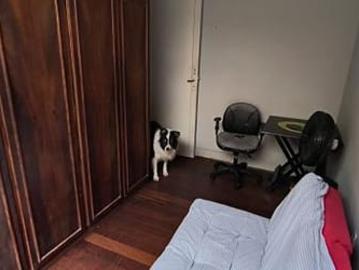 Rua Zamenhoff, Auxiliadora, Porto Alegre, Rio Grande do Sul