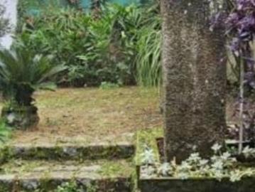 Quartos charmosos no Horto