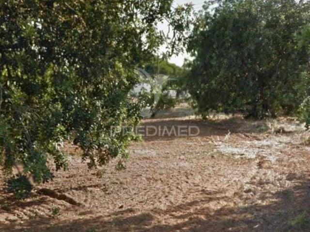 QUARTEIRA Triângulo Dourado TERRNENO RUSTICO P/AUTOCARAVANAS