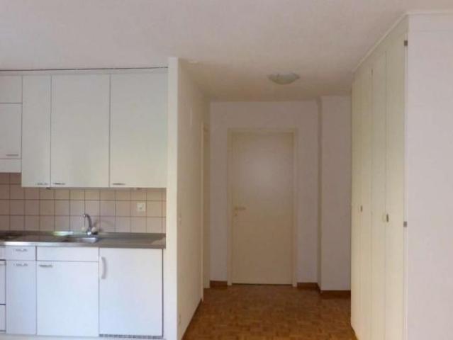 Quartier Valentin, bel appartement de 2 pièces au rez
