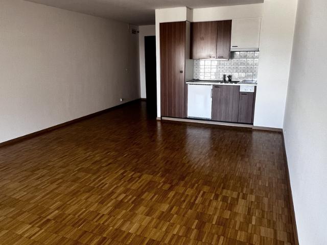 QUARTIER CHAILLY – LAUSANNE – JOLI STUDIO D’ENV 35 M2