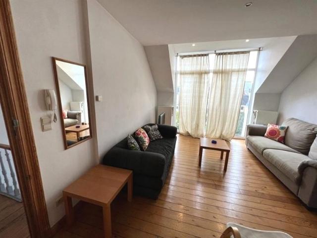 Quartier Européen Magnifique appartement loft MEUBLE 1 chambre