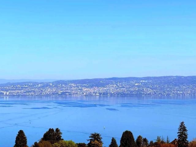 Évian Les Bains Maison Contemporaine Familiale Vue Lac. 193m² Evian les Bains