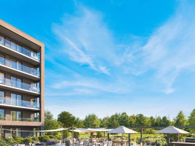 Quartier LOUKA Habitats locatifs — Studio — à partir de 1160 CAD/mois