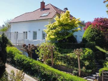 1180, Uccle, Bruxelles-Capitale - Tuin