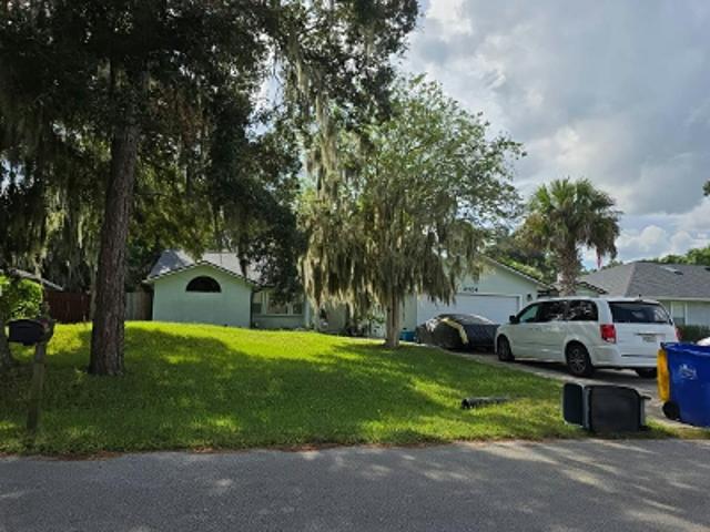 Queen Palm Dr