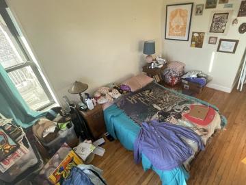 Flatbush, New York city, New York, USA
