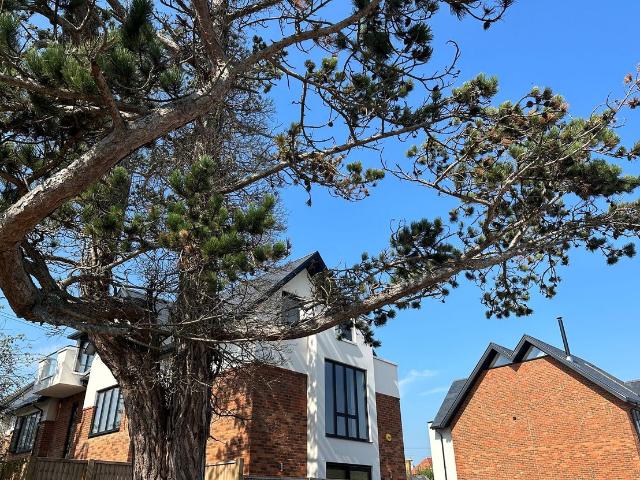 Queens Road, Truscott House CT5, 2 bed flat to rent, £1,350 pcm | PrimeLocation