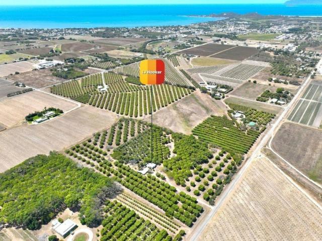 Queenslander on 6.31 Hectares â Space, Lifestyle & Opportunity