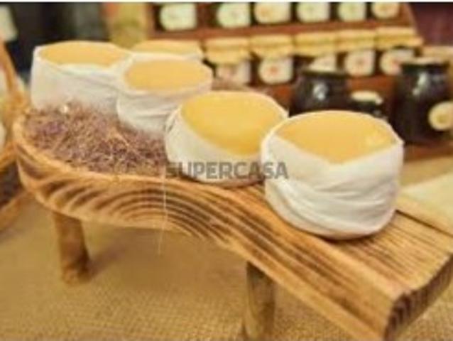Queijaria
