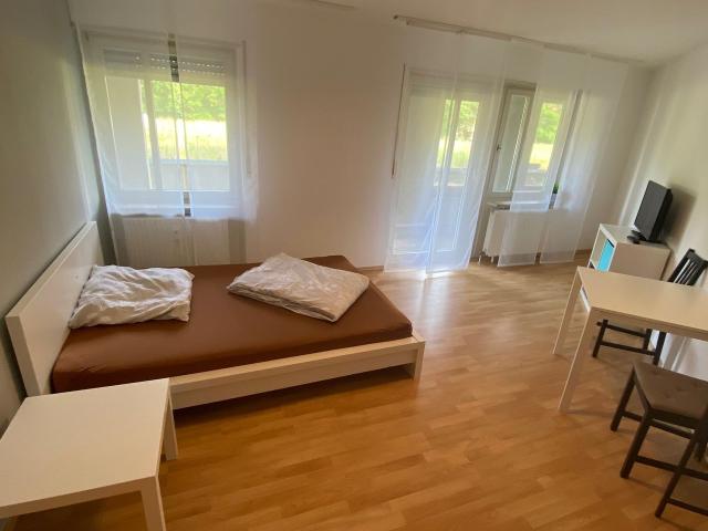 Quiet 1 room Apt with big terrace and forest view, Karlsruhe Amsterdam Apartments for Rent
