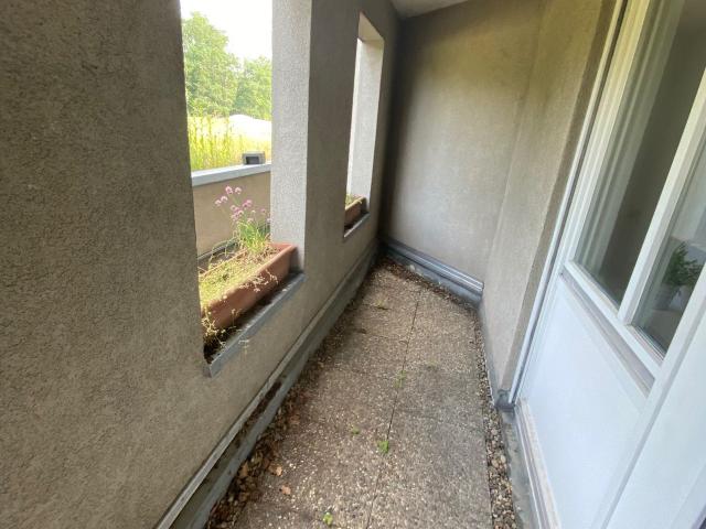 Quiet 1 room Apt with big terrace and forest view, Karlsruhe Amsterdam Apartments for Rent