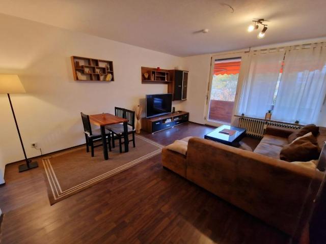 Quiet two room apartment Exhibitipn Apartment, Nurnberg Amsterdam Apartments for Rent