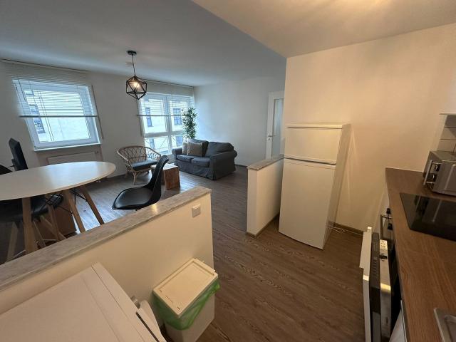 Quiet & wonderful suite in Frankfurt am Main, Frankfurt Amsterdam Apartments for Rent