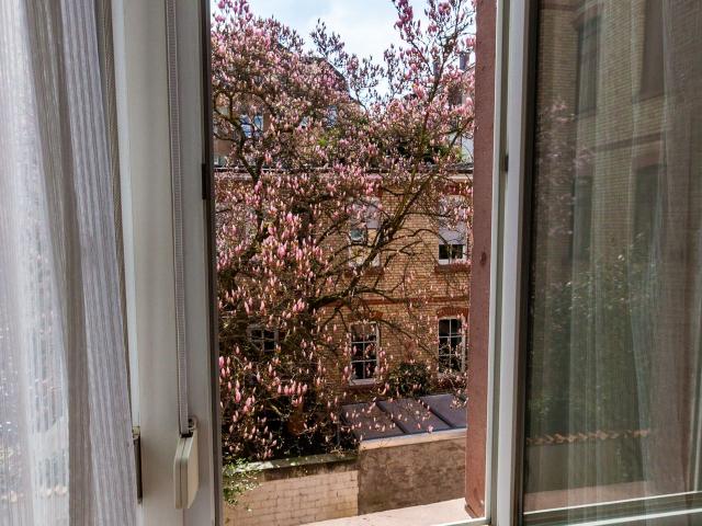 Quiet and charming apartment in central city location with southside view, Heidelberg Amsterdam Apartments for Rent