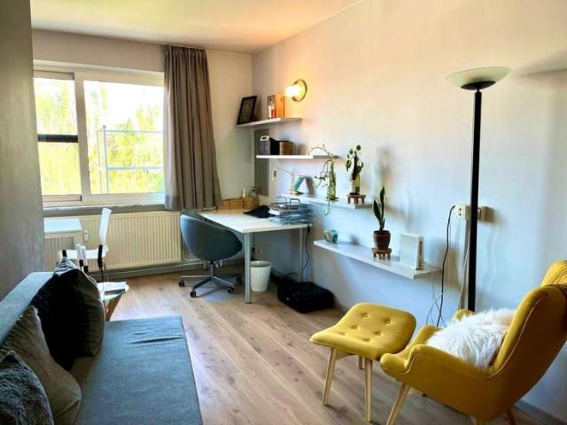 Quiet and bright furnished studio apartment in city center