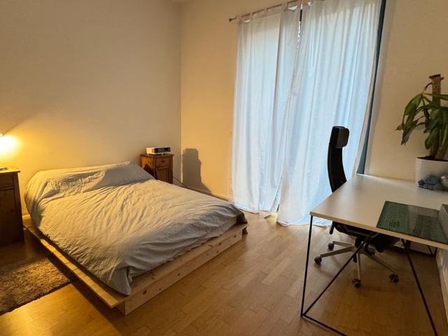 Quiet and spacious studio in Prenzlauer Berg Berlin, Berlin Amsterdam Apartments for Rent